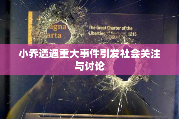 小乔遭遇重大事件引发社会关注与讨论