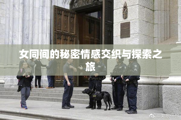 女同间的秘密情感交织与探索之旅