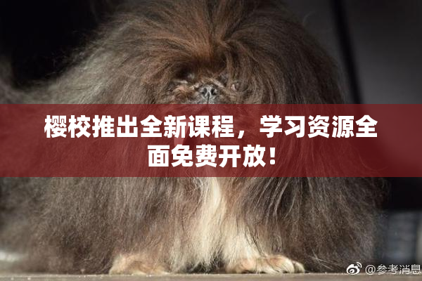 樱校推出全新课程，学习资源全面免费开放！