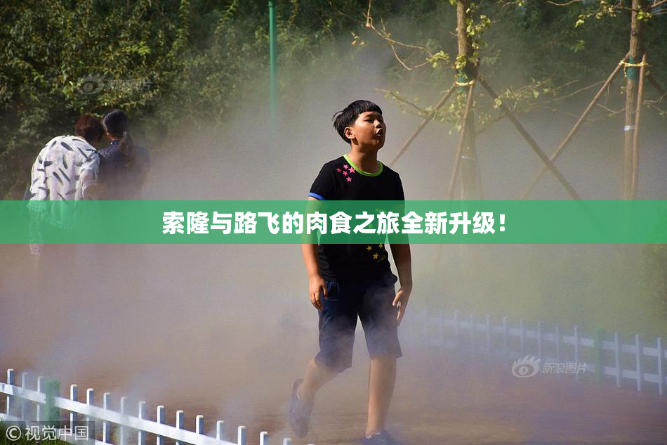 索隆与路飞的肉食之旅全新升级！