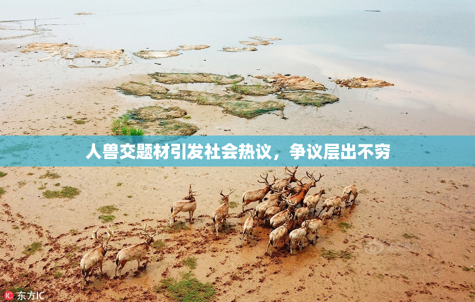 人兽交题材引发社会热议，争议层出不穷