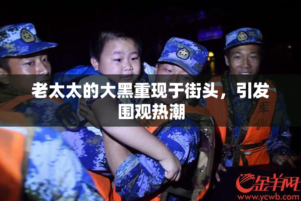 老太太的大黑重现于街头，引发围观热潮