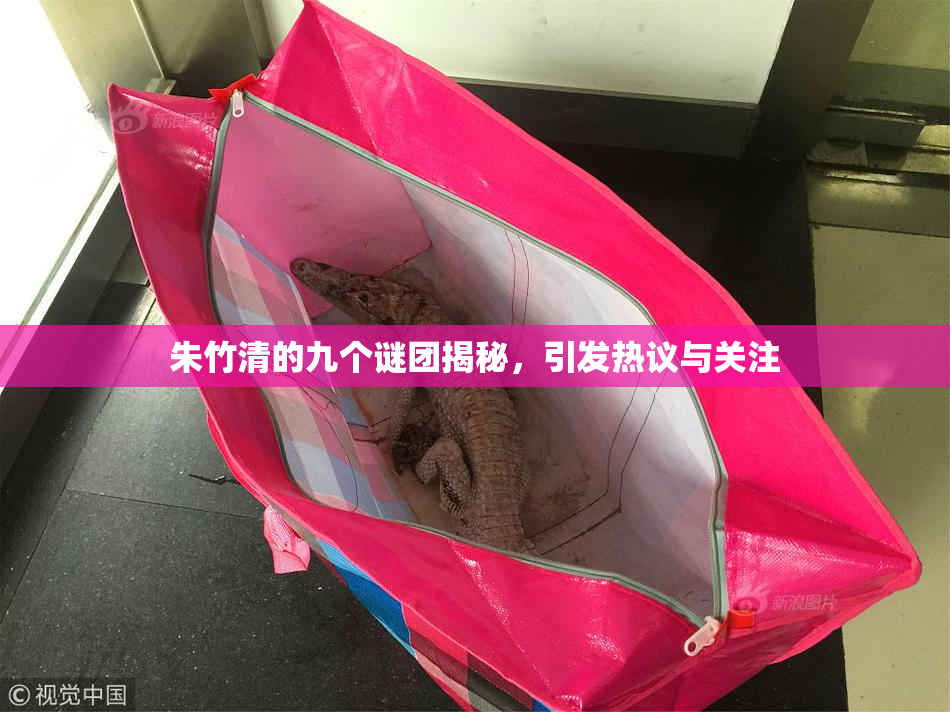 朱竹清的九个谜团揭秘，引发热议与关注