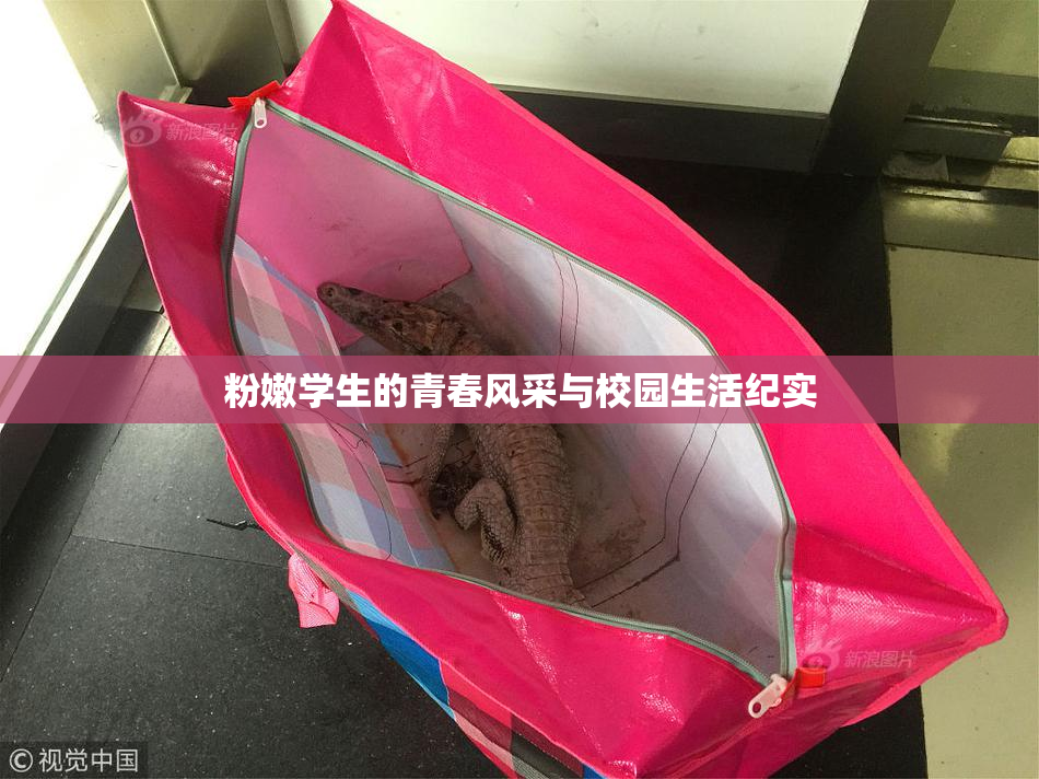 粉嫩学生的青春风采与校园生活纪实
