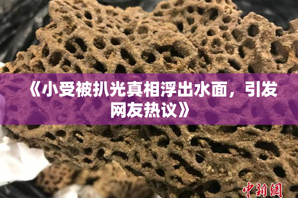 《小受被扒光真相浮出水面，引发网友热议》