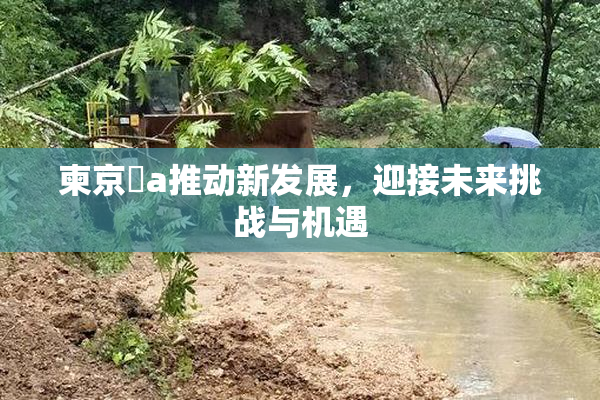 柬京埶a推动新发展，迎接未来挑战与机遇