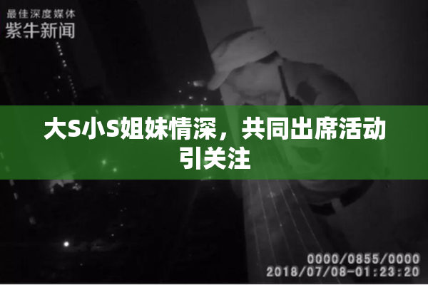 大S小S姐妹情深，共同出席活动引关注