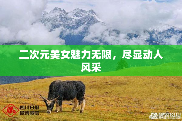 二次元美女魅力无限，尽显动人风采