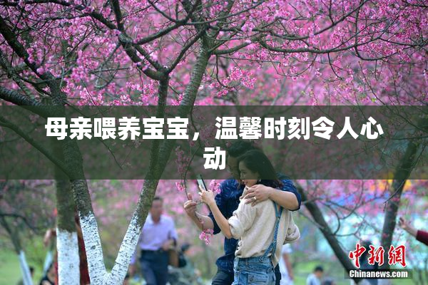 母亲喂养宝宝，温馨时刻令人心动