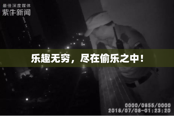 乐趣无穷，尽在偷乐之中！