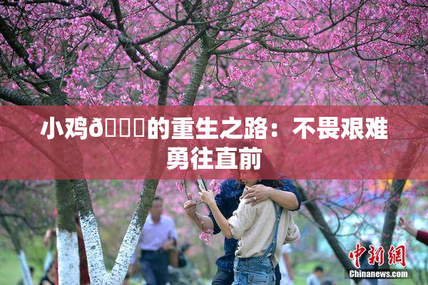 小鸡🐔的重生之路：不畏艰难勇往直前
