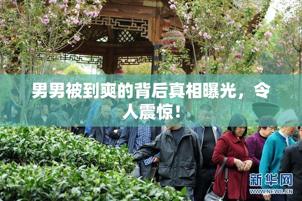 男男被到爽的背后真相曝光，令人震惊！