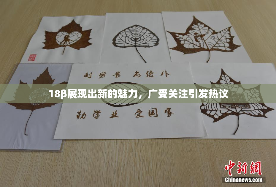 18β展现出新的魅力，广受关注引发热议