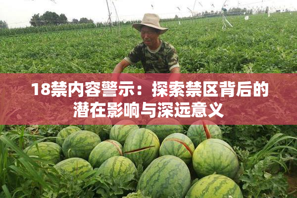 18禁内容警示：探索禁区背后的潜在影响与深远意义