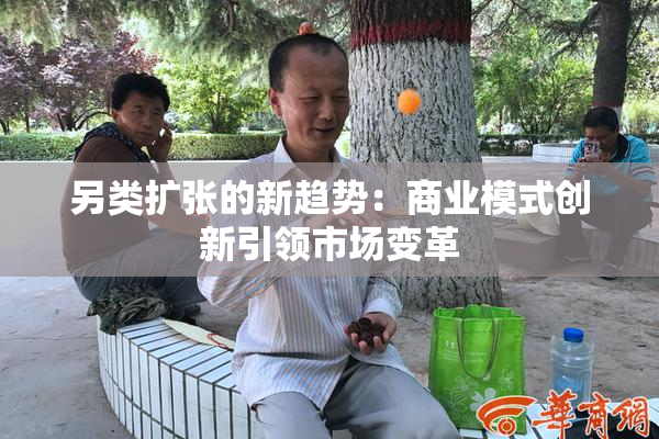 另类扩张的新趋势：商业模式创新引领市场变革