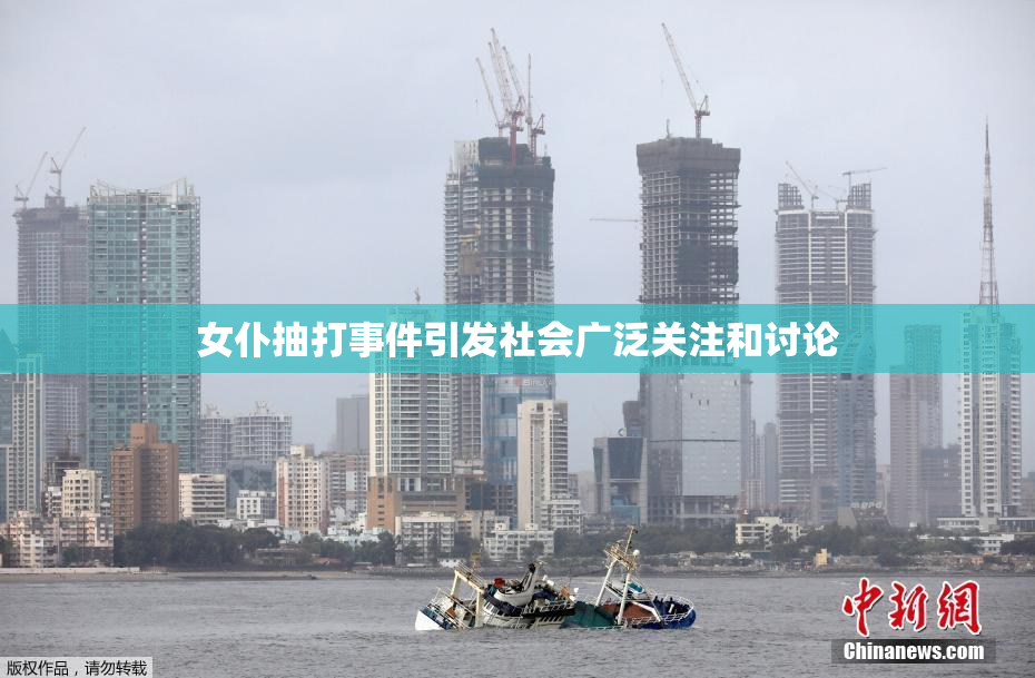 女仆抽打事件引发社会广泛关注和讨论