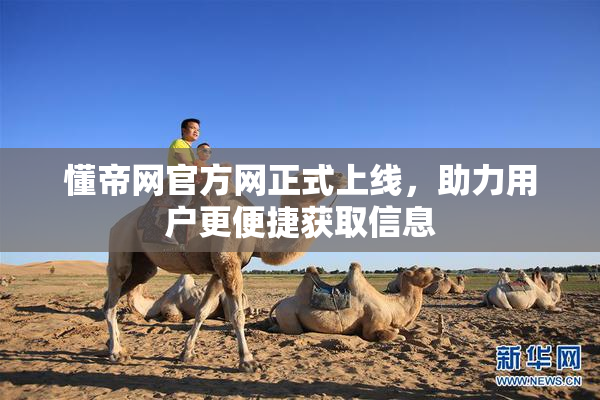 懂帝网官方网正式上线，助力用户更便捷获取信息