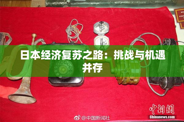 日本经济复苏之路：挑战与机遇并存
