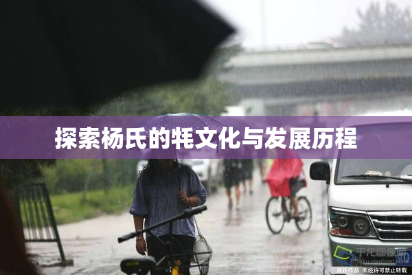 探索杨氏的牦文化与发展历程