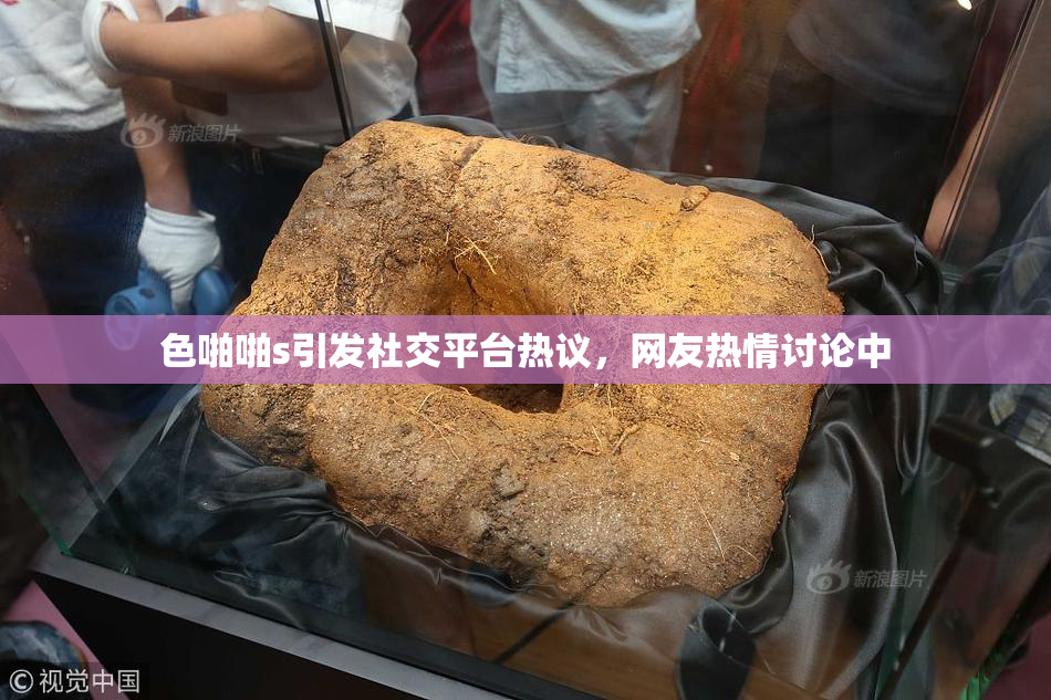 色啪啪s引发社交平台热议，网友热情讨论中