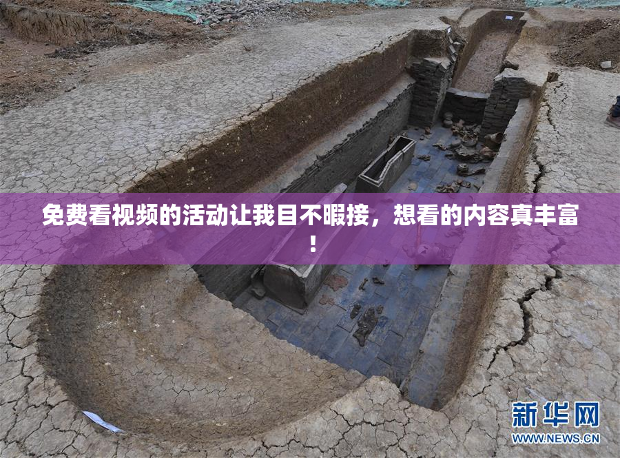 免费看视频的活动让我目不暇接，想看的内容真丰富！