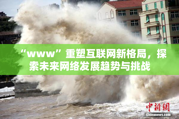 “www”重塑互联网新格局，探索未来网络发展趋势与挑战