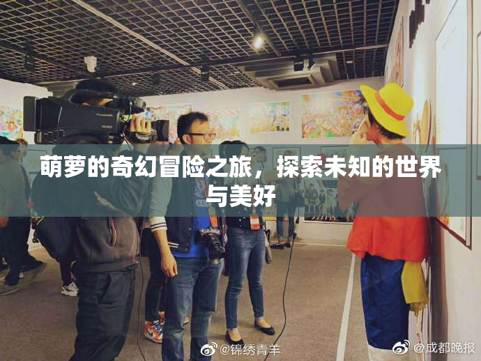 萌萝的奇幻冒险之旅，探索未知的世界与美好