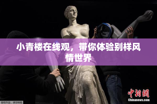 小青楼在线观，带你体验别样风情世界