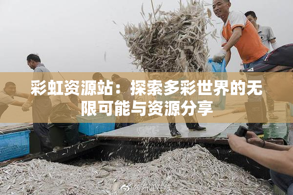 彩虹资源站：探索多彩世界的无限可能与资源分享