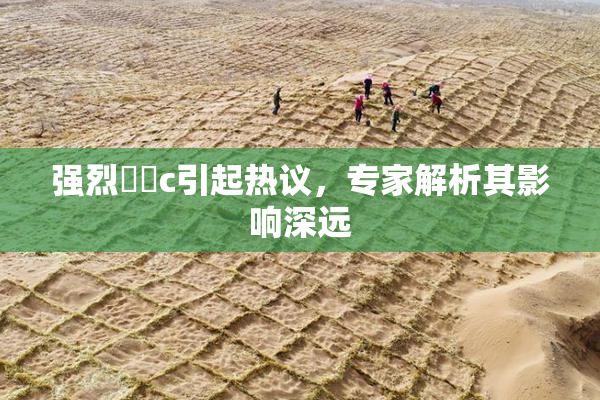 强烈❌‌c引起热议，专家解析其影响深远