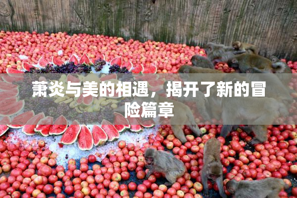 萧炎与美的相遇，揭开了新的冒险篇章