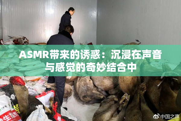 ASMR带来的诱惑：沉浸在声音与感觉的奇妙结合中