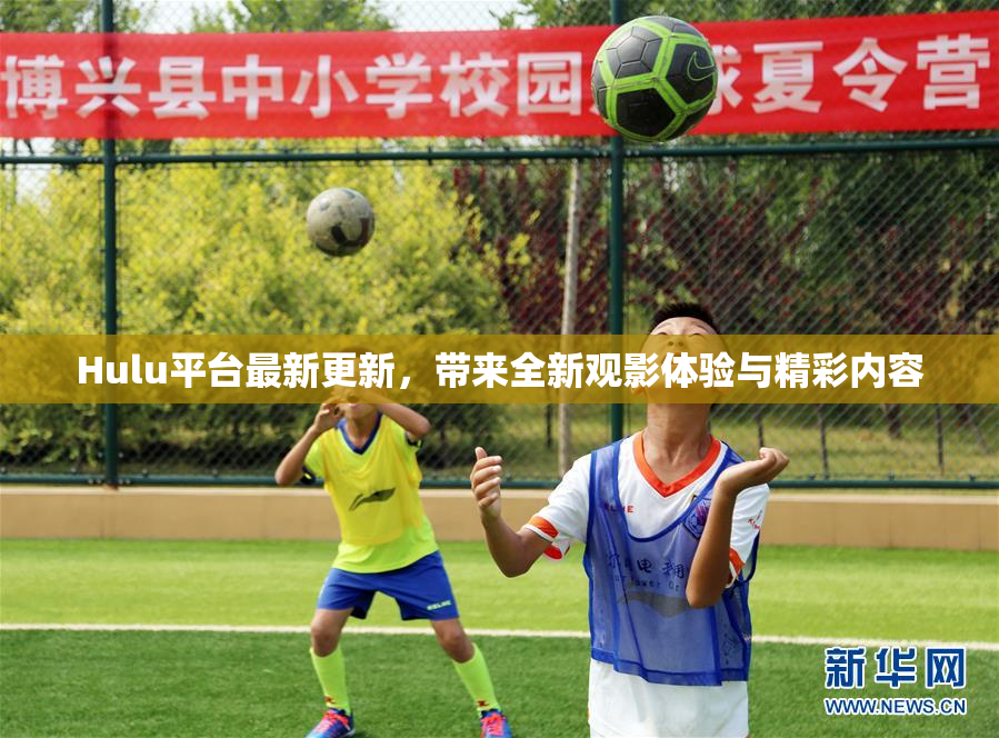 Hulu平台最新更新，带来全新观影体验与精彩内容