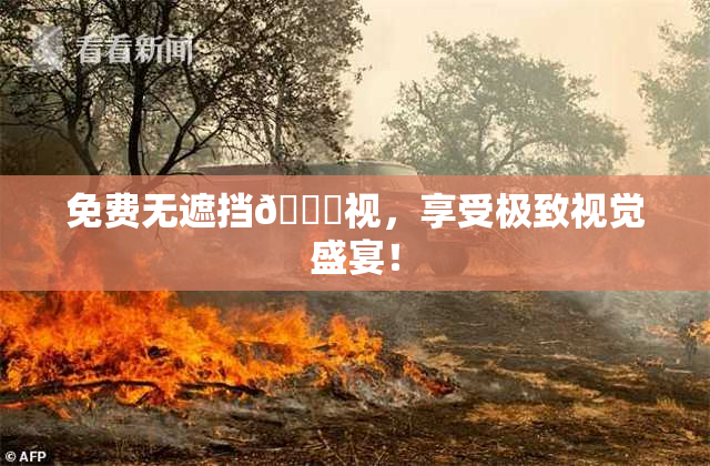 免费无遮挡🔞视，享受极致视觉盛宴！