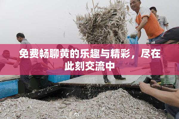 免费畅聊黄的乐趣与精彩，尽在此刻交流中
