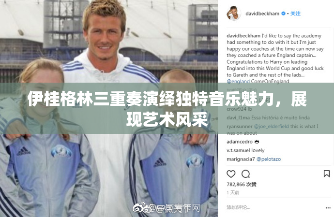 伊桂格林三重奏演绎独特音乐魅力，展现艺术风采