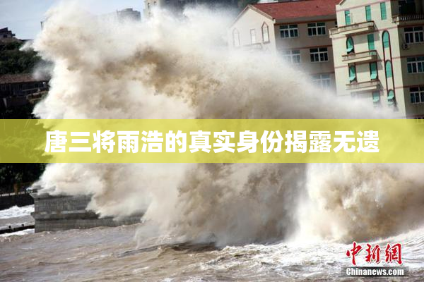 唐三将雨浩的真实身份揭露无遗