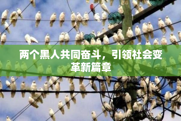 两个黑人共同奋斗，引领社会变革新篇章