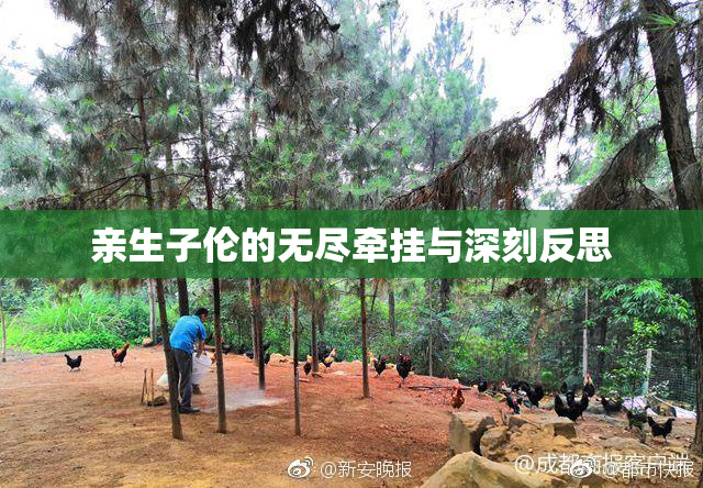 亲生子伦的无尽牵挂与深刻反思