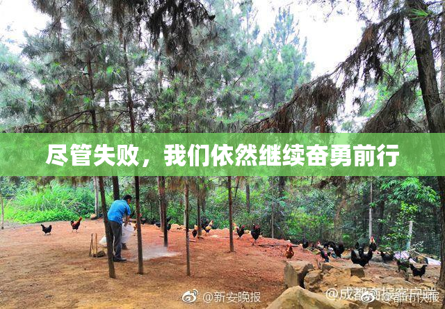 尽管失败，我们依然继续奋勇前行