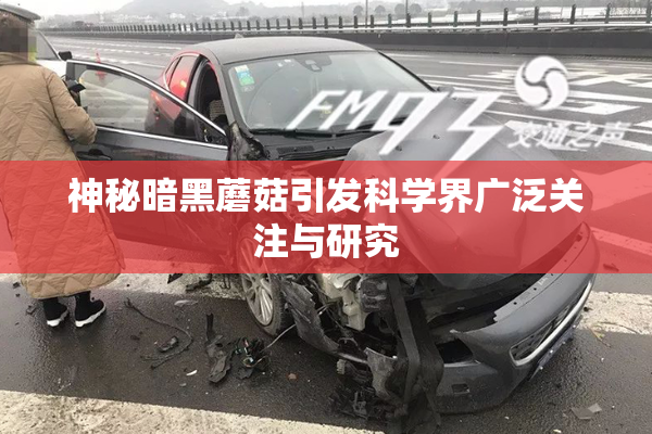 神秘暗黑蘑菇引发科学界广泛关注与研究