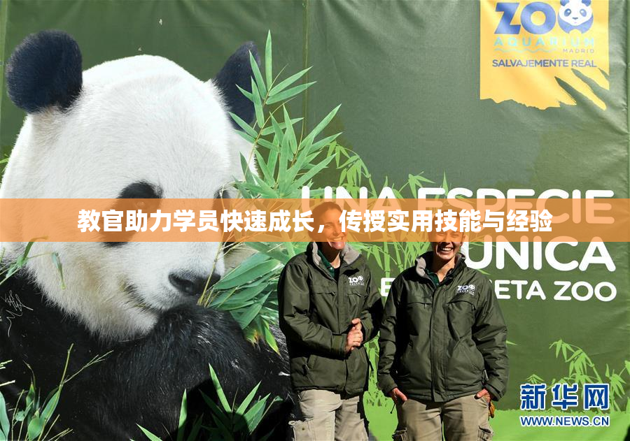 教官助力学员快速成长，传授实用技能与经验