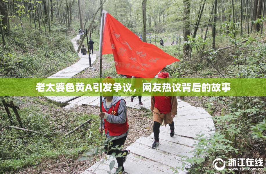 老太婆色黄A引发争议，网友热议背后的故事