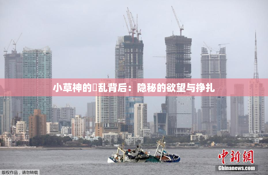 小草神的婬乱背后：隐秘的欲望与挣扎