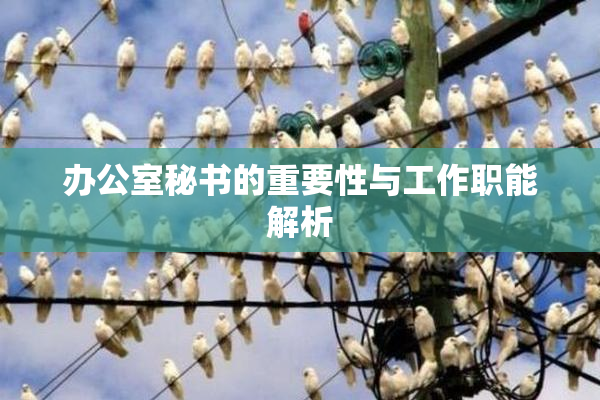 办公室秘书的重要性与工作职能解析