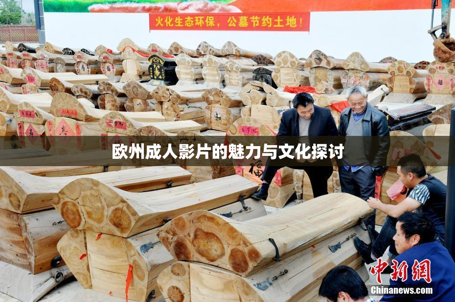 欧州成人影片的魅力与文化探讨