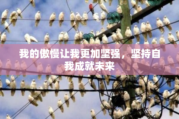 我的傲慢让我更加坚强，坚持自我成就未来