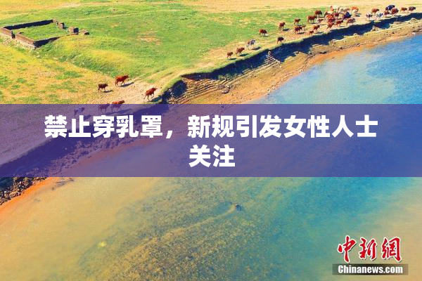 禁止穿乳罩，新规引发女性人士关注
