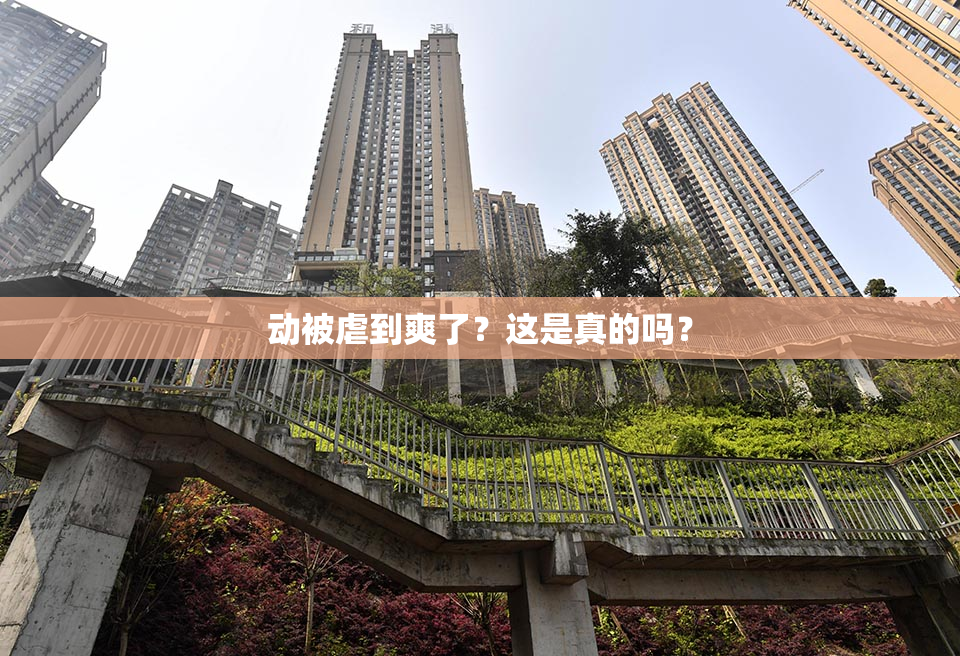动被虐到爽了？这是真的吗？