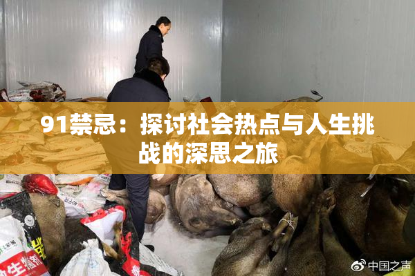 91禁忌：探讨社会热点与人生挑战的深思之旅